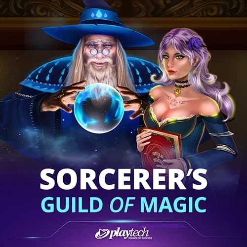 Sorcerer's Guild of Magic