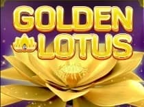 Golden Lotus